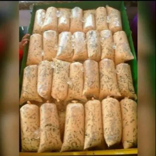 Plastic Packaging Bag (1kg)